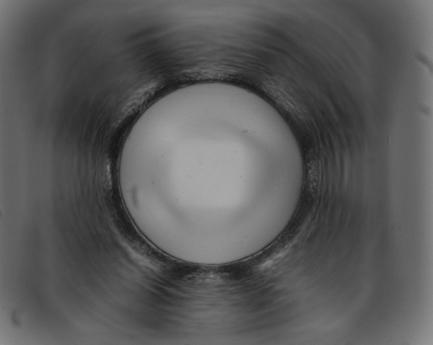 X0000092210254200710121135