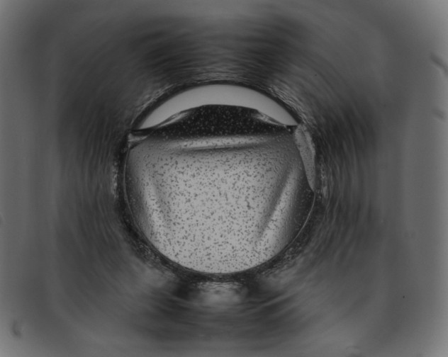 X0000092210255200710121135