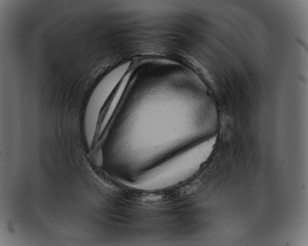 X0000092210257200710121135