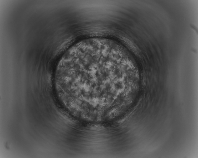 X0000092210258200710121135