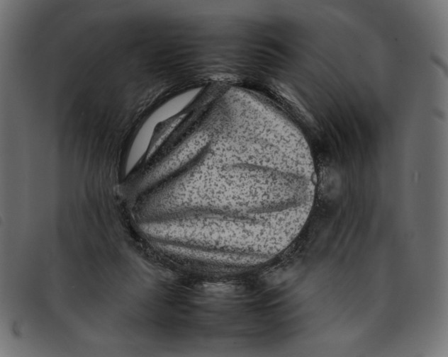 X0000092210259200710121135