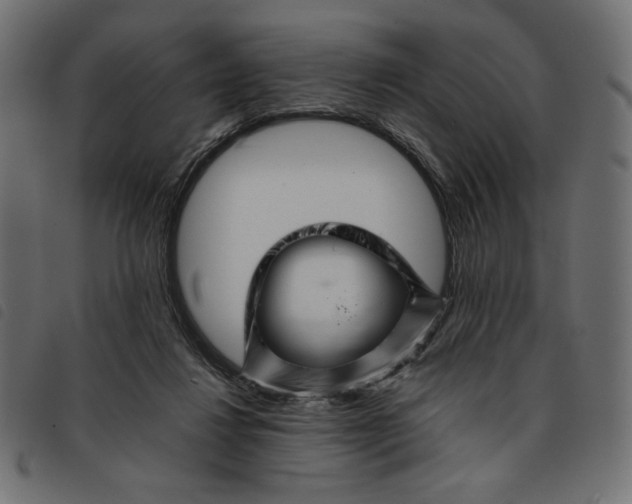 X0000092210260200710121135