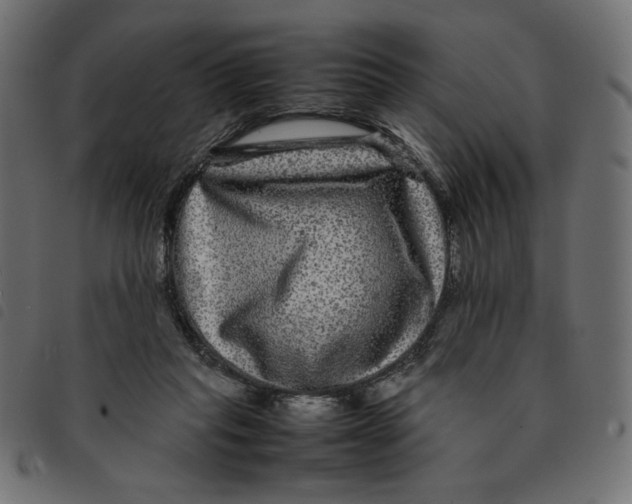 X0000092210261200710121135