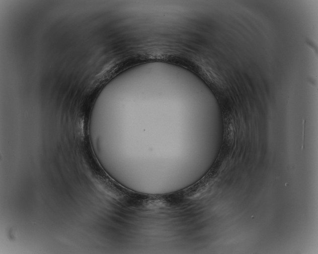 X0000092210262200710121135