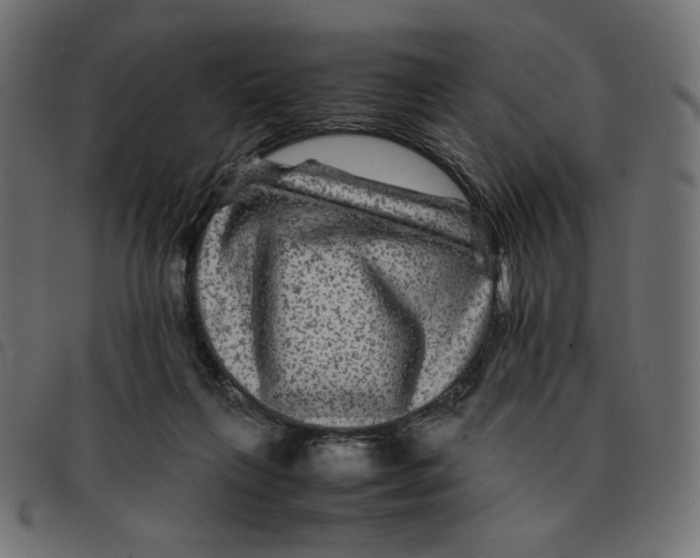 X0000092210263200710121135