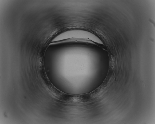 X0000092210264200710121135