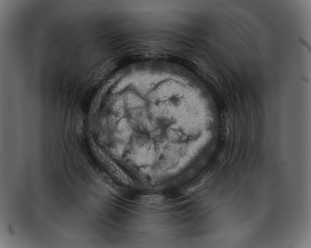 X0000092210266200710121135