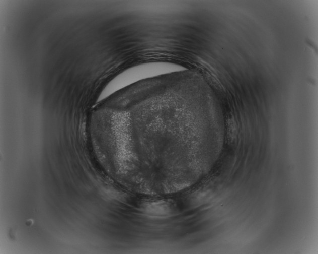 X0000092210267200710121135