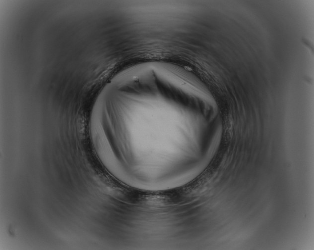 X0000092210268200710121135