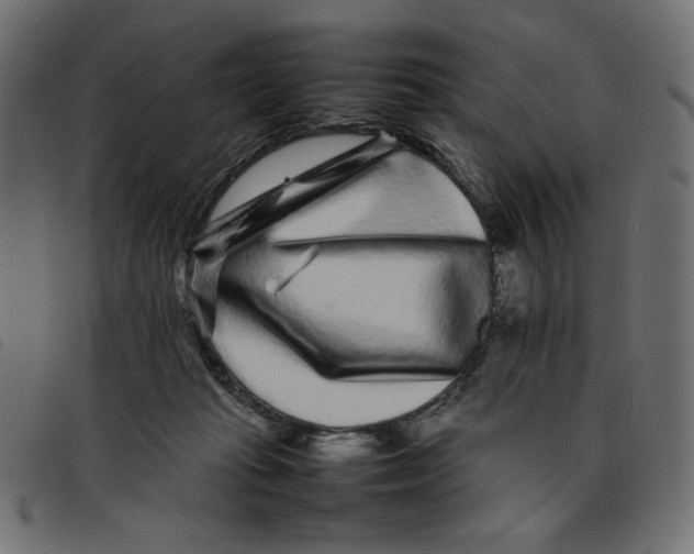 X0000092210269200710121135