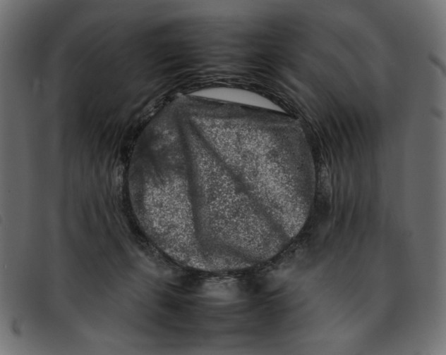 X0000092210271200710121135
