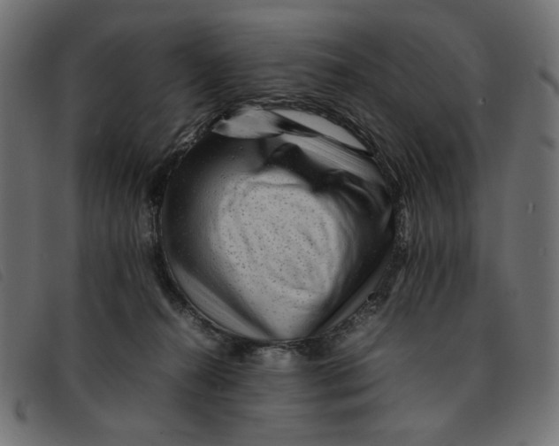 X0000092210272200710121135