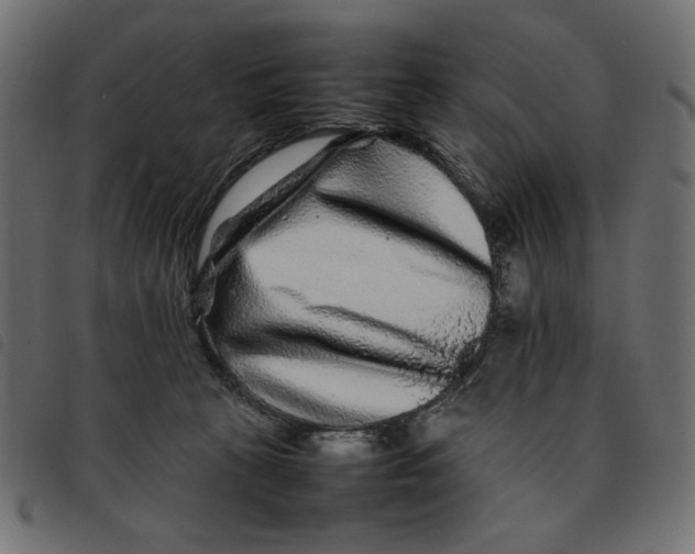 X0000092210273200710121135