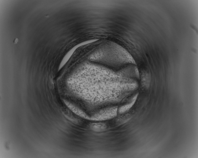 X0000092210275200710121135