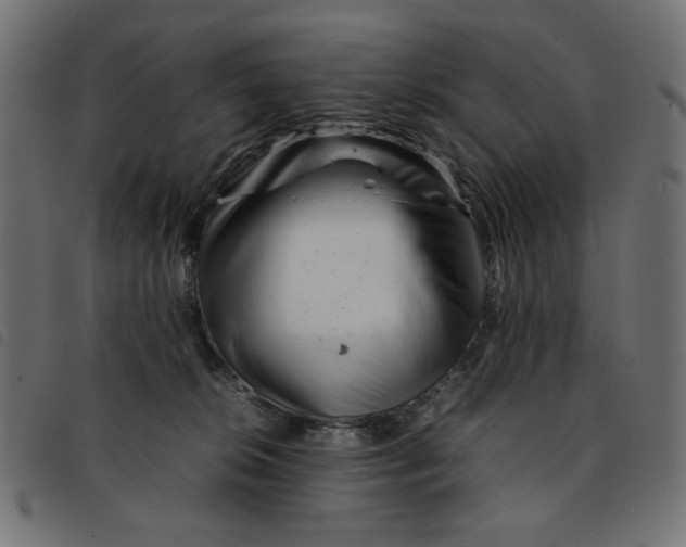 X0000092210276200710121135