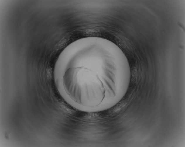 X0000092210278200710121135