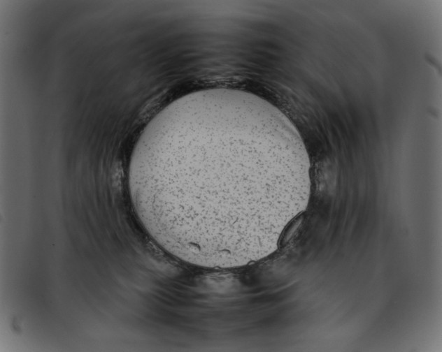 X0000092210279200710121135