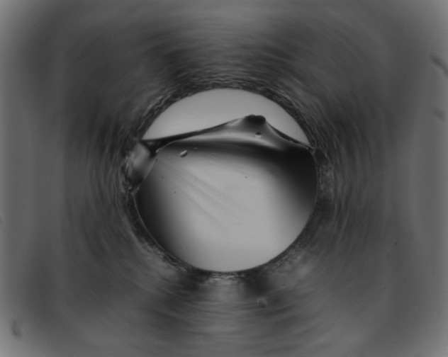 X0000092210280200710121135