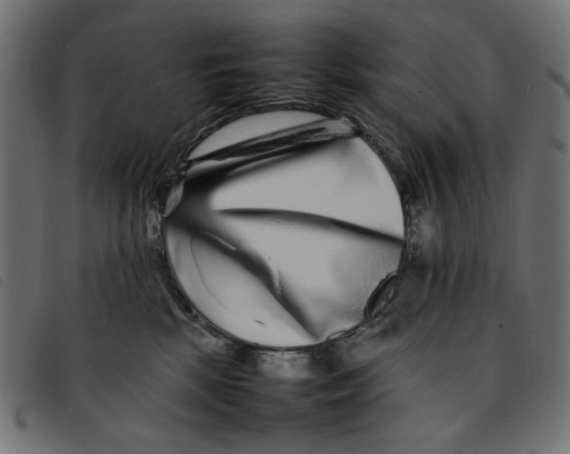 X0000092210281200710121135