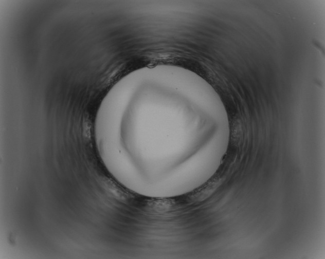 X0000092210282200710121135