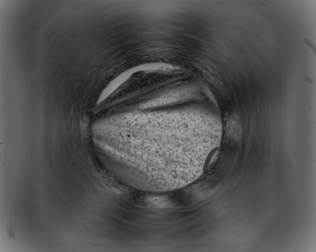 X0000092210283200710121135