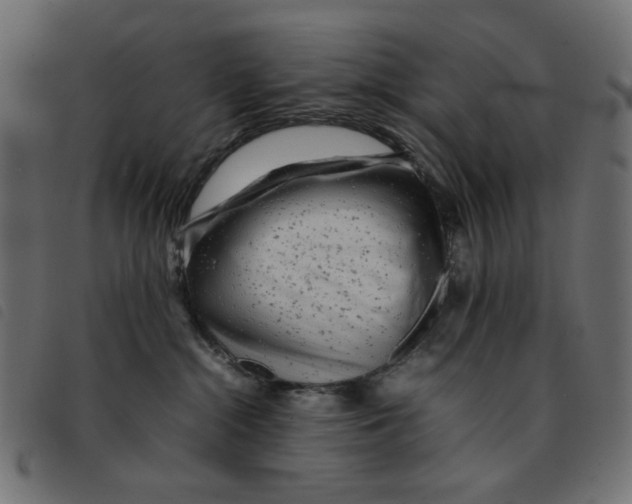 X0000092210284200710121135