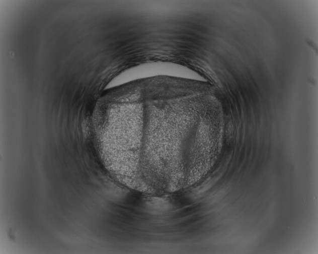 X0000092210285200710121135