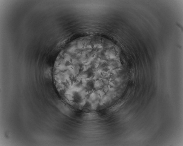 X0000092210286200710121135