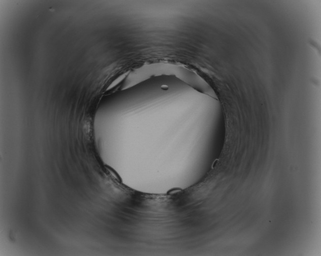 X0000092210288200710121135
