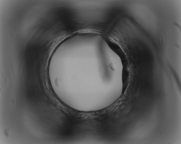 X0000092210289200710121135