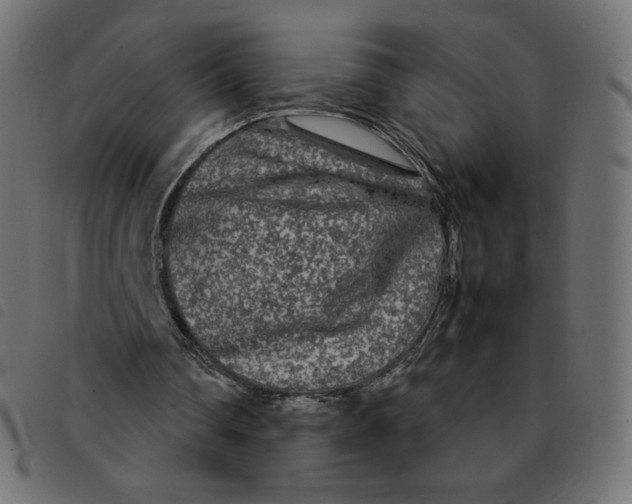 X0000092210290200710121135