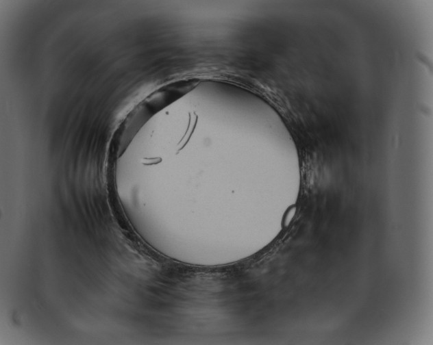 X0000092210292200710121135