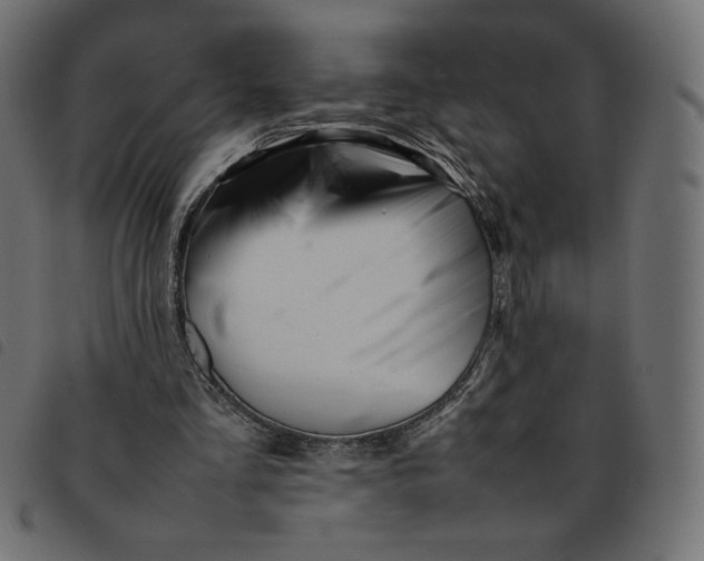 X0000092210293200710121135