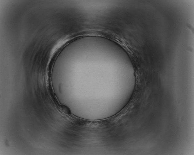 X0000092210294200710121135