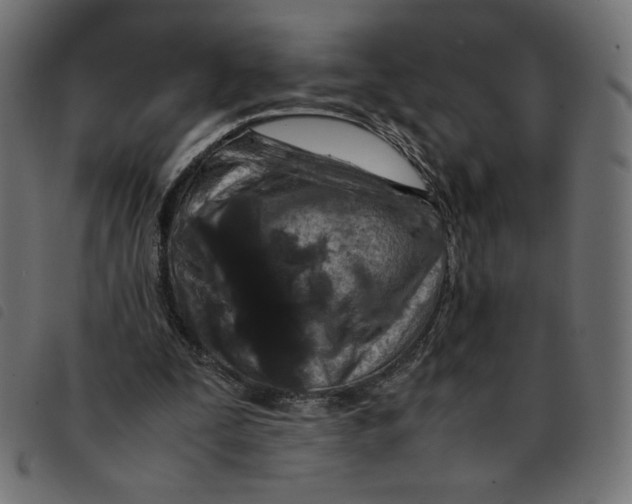 X0000092210295200710121135