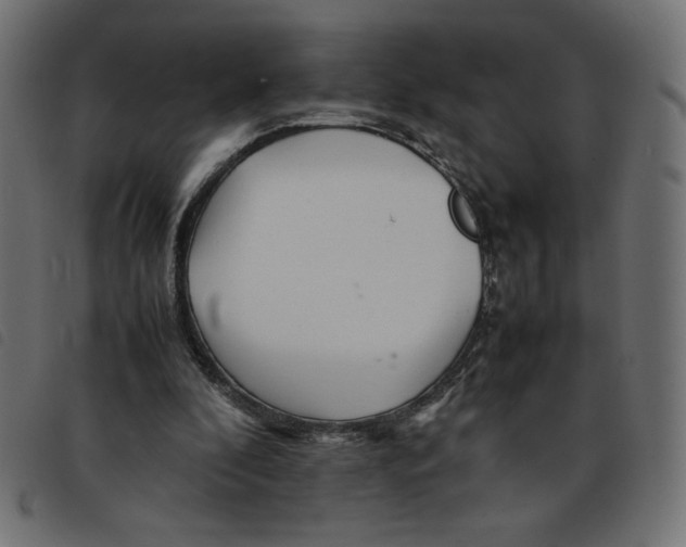 X0000092210296200710121135