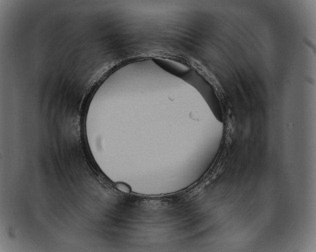 X0000092210298200710121134