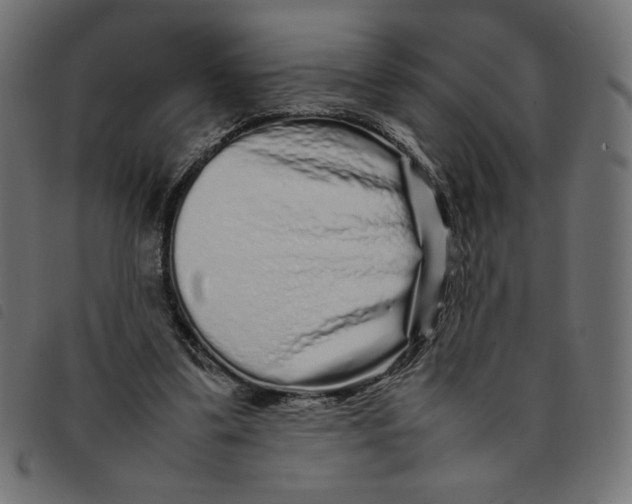 X0000092210299200710121134