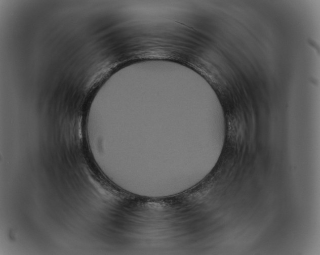 X0000092210302200710121134