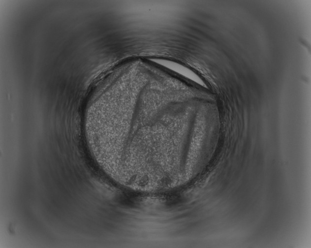 X0000092210303200710121134