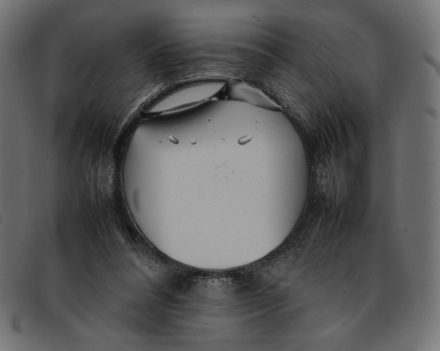 X0000092210304200710121134
