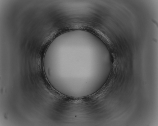X0000092210306200710121134