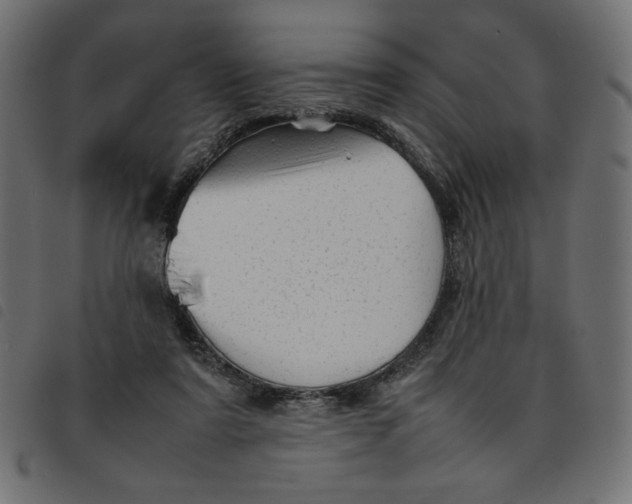 X0000092210307200710121134