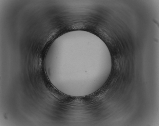 X0000092210308200710121134