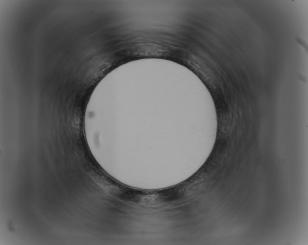 X0000092210309200710121134
