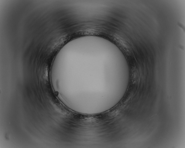 X0000092210310200710121134