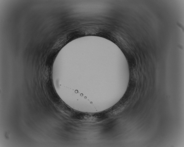 X0000092210311200710121134
