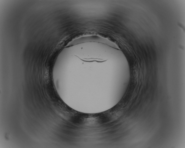 X0000092210312200710121134