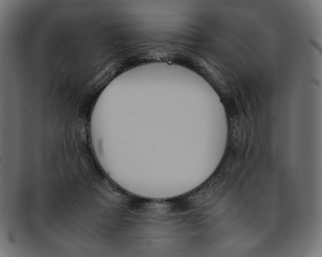 X0000092210313200710121134