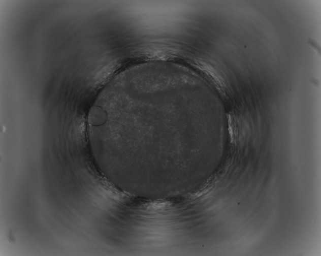 X0000092210314200710121134